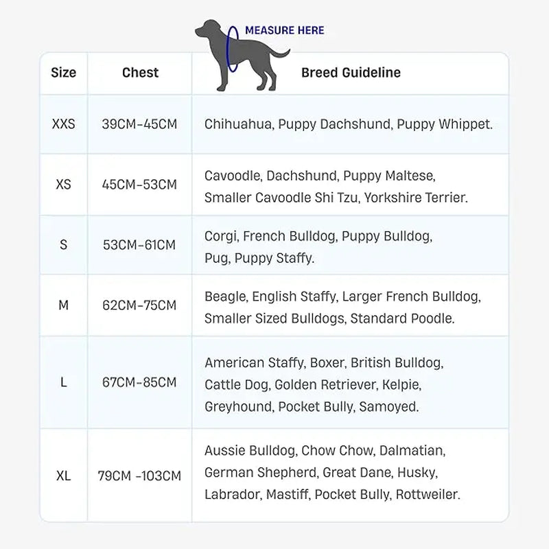 No-Pull Dog Harness Adjustable features built-in grab handle, heavy-duty D-ring, and customizable fit for all dogs.