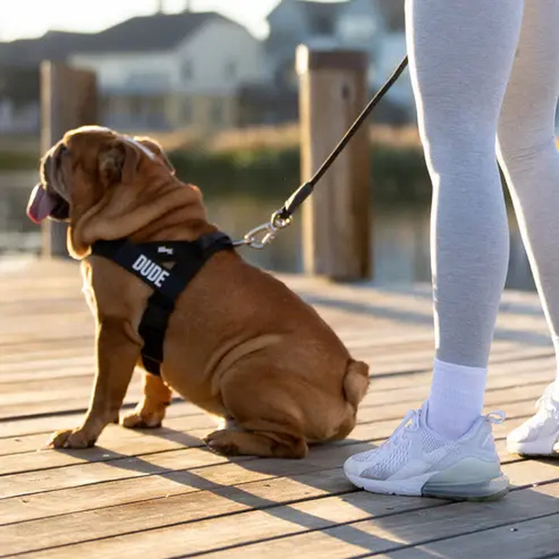 No-Pull Dog Harness Adjustable features built-in grab handle, heavy-duty D-ring, and customizable fit for all dogs.