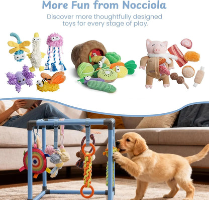 Nocciola Enrichment Play Gym for Dogs - Indoor Interactive Activity Frame with 8 Hanging Squeaky Rope and Teething Toys for Puppies and Small Dogs