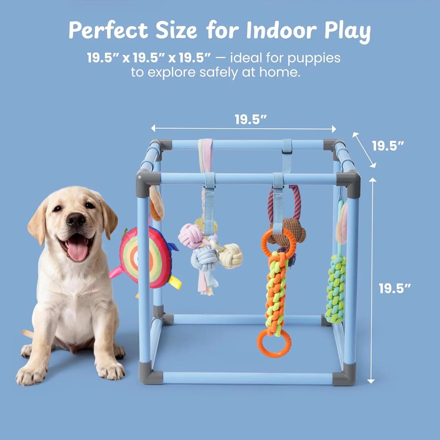 Nocciola Enrichment Play Gym for Dogs - Indoor Interactive Activity Frame with 8 Hanging Squeaky Rope and Teething Toys for Puppies and Small Dogs
