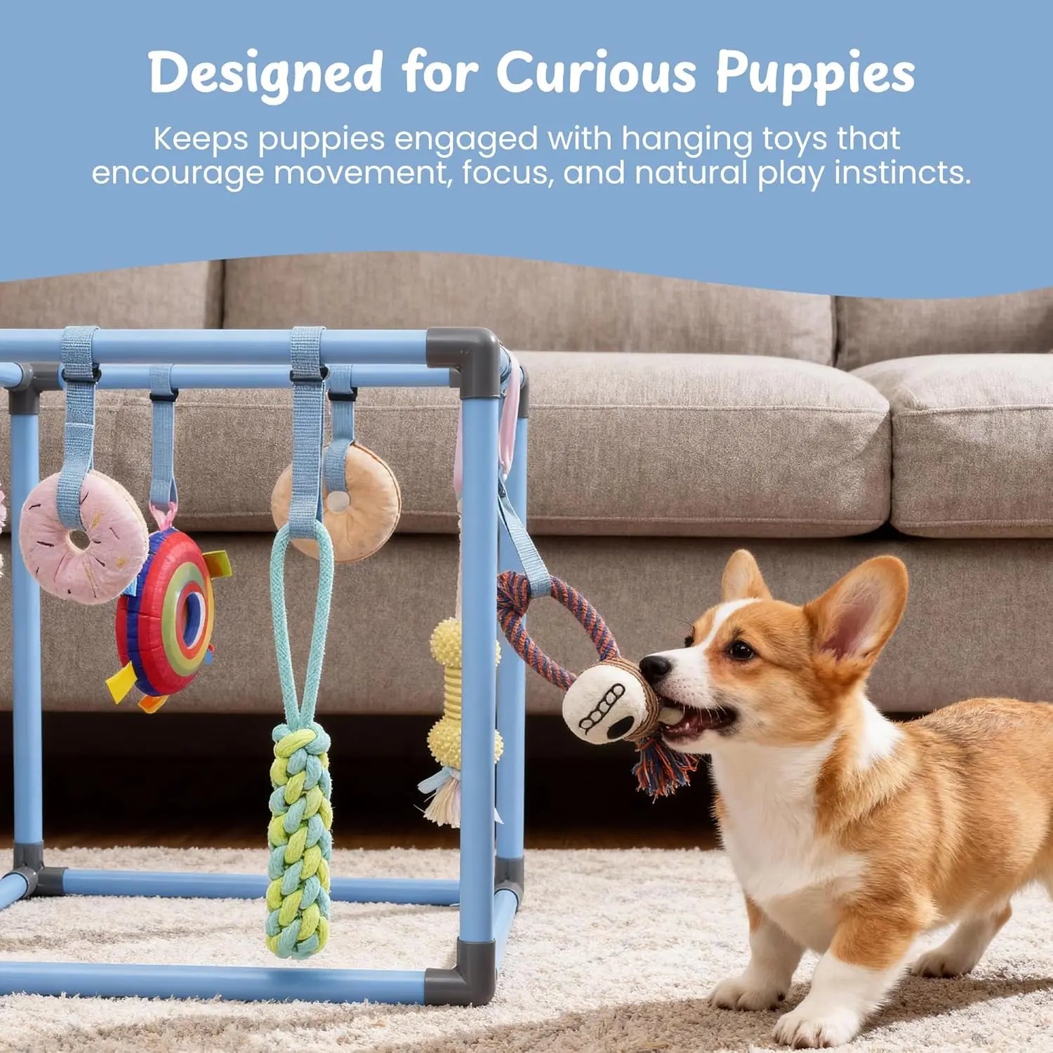 Nocciola Enrichment Play Gym for Dogs - Indoor Interactive Activity Frame with 8 Hanging Squeaky Rope and Teething Toys for Puppies and Small Dogs