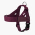 No-Pull Dog Harness Adjustable features built-in grab handle, heavy-duty D-ring, and customizable fit for all dogs.