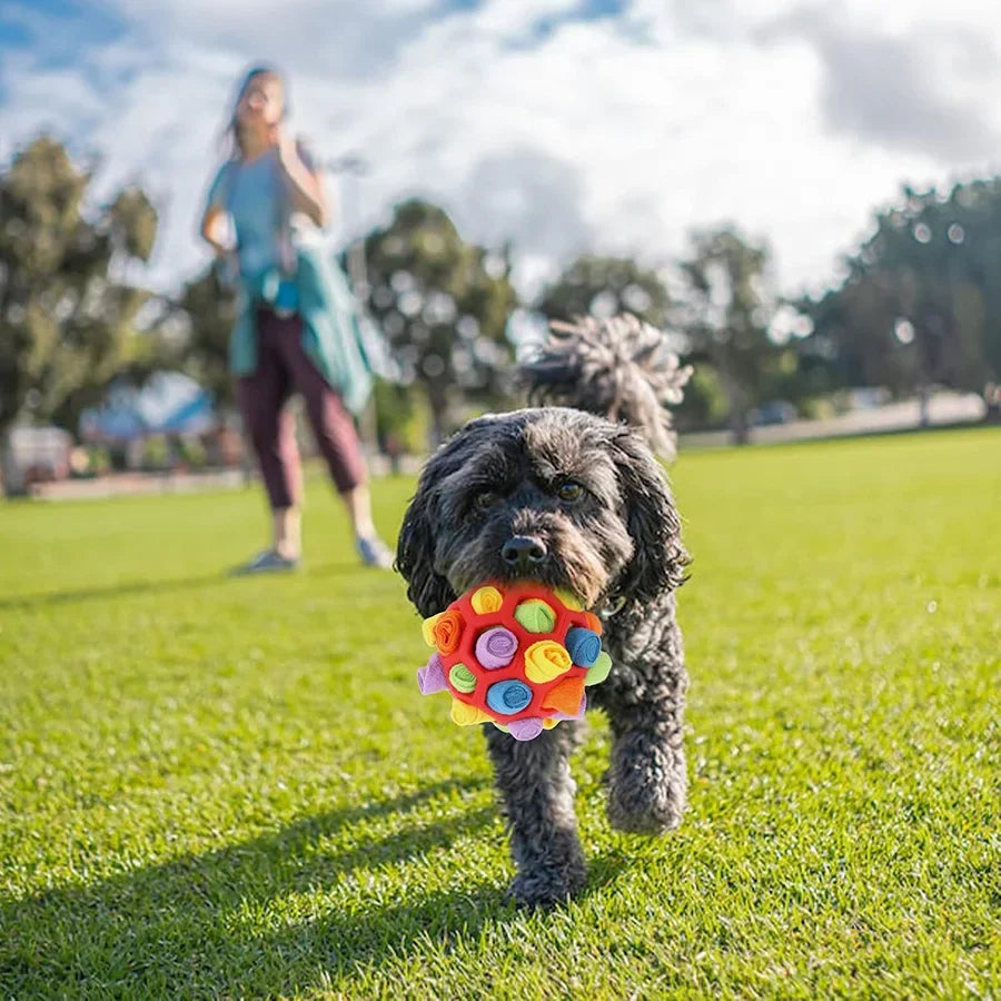 Interactive Snuffle Ball For Dogs with colorful fabric rolls and dog treats visible, perfect for nose work and foraging training.