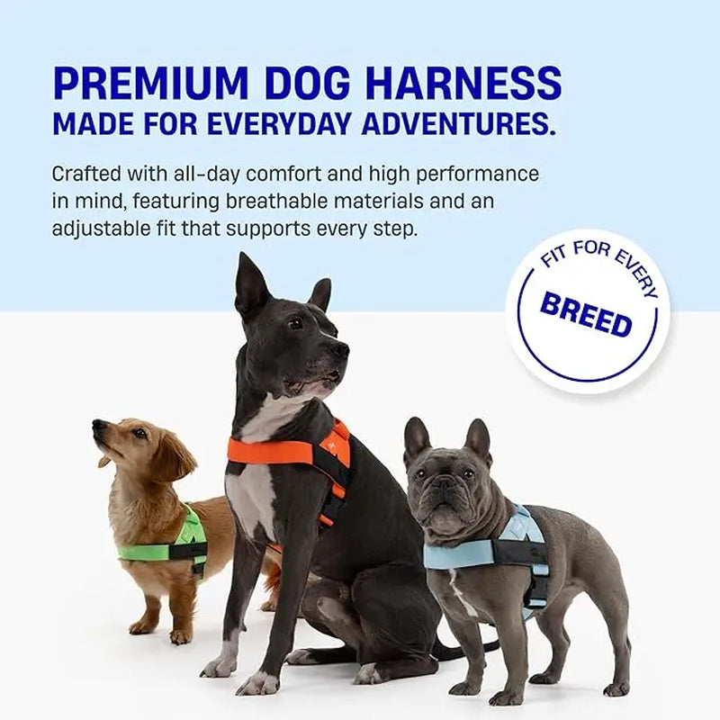 No-Pull Dog Harness Adjustable features built-in grab handle, heavy-duty D-ring, and customizable fit for all dogs.